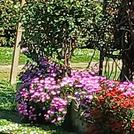 Azienda Il Tizzano