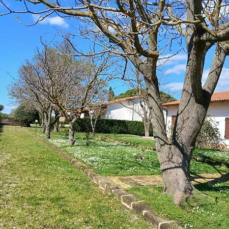 Apartment Azienda Il Tizzano